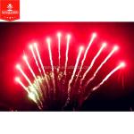 13 Shots Mandarin Pyrotechnics , 1.3g Un0335 Display Cakes For Celebration for sale