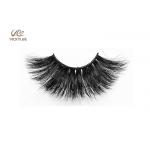 Natural Stereo Fluffy 19mm Hybrid Lash Extensions for sale
