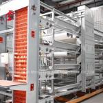 China Reliable Chicken Battery Poultry Layer Cage 7 Tiers Iris for sale
