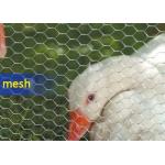 0.4mm-1.5mm Diameter Hexagon Wire Mesh Galvanized Iron
