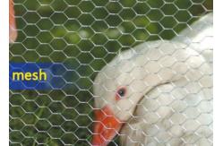 China 0.4mm-1.5mm Diameter Hexagon Wire Mesh Galvanized Iron supplier