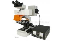 China Binocular / Trinocular 1000x Fluorescence Microscope with Halogen Lamp A16.0301 supplier