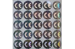 China ID Card Moisture Proof Holographic Foil Stickers , 3D Holographic Stickers supplier