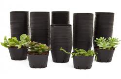 China Small Drain Holes Horticultural Plant Pots Modern Bonsai Plastic Dumpy Plants supplier