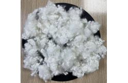 China Recycled Hollow Conjugated Polyester Staple Fiber Siliconized 7D 32mm supplier