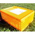 Live 12.25 Inch PE Duck Transport Crates For Chickens for sale