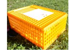 China Live 12.25 Inch PE Duck Transport Crates For Chickens supplier