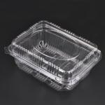 PET Disposable Plastic Boxes for sale