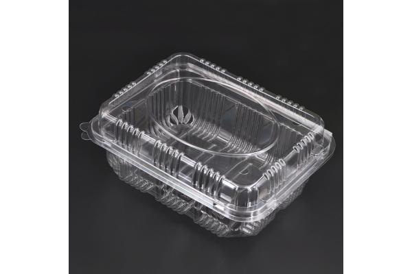 PET Disposable Plastic Boxes
