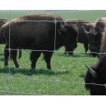 Anping TLWY 330 Ft Roll Fixed Knot Field Fence PVC Coated