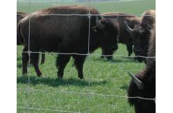 China Anping TLWY 330 Ft Roll Fixed Knot Field Fence PVC Coated supplier