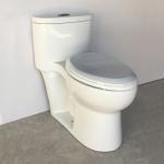 10 Inch Rough In One Piece Elongated Toilet 1 Piece Comfort Height Toilet for sale