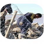 Stone Cages Hexagonal Pvc Coated Gabion Box  2x1x0.5 for sale