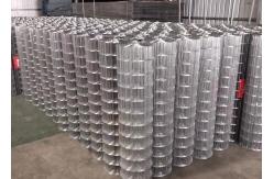 China 2X2 Galvanized Cattle Welded Wire Mesh Panel Sheet  Corrosion Protection supplier