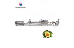 China Industrial Fruit And Vegetable Processing Line Brush Bubble Cleaning Drying Selection And Cutting supplier