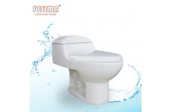 China Twin Conjoined Toilet Floor Mounted Wc S Trap 190mm Washroom supplier