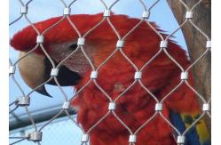China Flexible Inox Aviary Wire Netting , AISI316 Woven Cage And Aviary Wire Mesh supplier