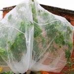 Agricultural 3x10m Plastic Insect Mesh Cover Breathable And Eco Friendly