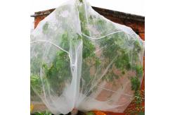 China Agricultural 3x10m Plastic Insect Mesh Cover Breathable And Eco Friendly supplier