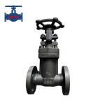 Cast Steel Bellow Sealed Globe Valve For Thermic Oil System Safety Use API 602 Standard for sale