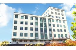 China Hair Color Powder manufacturer