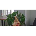 Thickness 8mm ESD Plexiglass Acrylic Sheet For Advertising Sign for sale