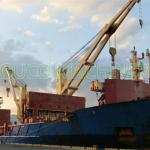 20t 30m Cargo Three Phase Marine Deck Cranes for sale