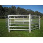From Budget Cattle Panels To Extra Heavy Duty Portable Corral Panels For Cattle for sale