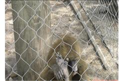China X Tend Expanded Stainless Steel Zoo Mesh , SS 304 Zoo Enclosure Materials supplier