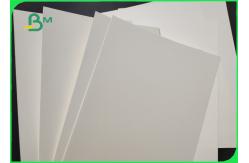 China 170g 190g White Cupstock Base Paper Roll For Office Smooth supplier