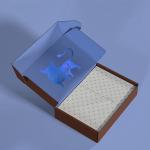 Flexible Rectangle Paper Necklace Shipping Boxes 25x15x4cm for sale