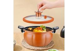 China 8l Large Capacity Iron Micro Pressure Cooking Pot  Maifan Stone Non Stick Coating supplier