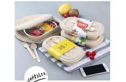 China Compostable Takeout Disposable Food Containers Bagasse Lunch Box With Lid supplier