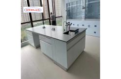 China Powder Coating Chemistry Lab Furniture for Efficient Experiments supplier