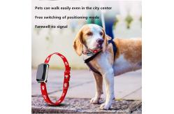China Beidou Positioning Intelligent 45X45mm PET Training Collars Gps Tracking Collar For Dogs supplier