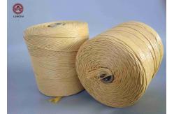 China Fibrillated Twisted PP Filler Yarn Best Breaking Load Winding on Paper Tube supplier