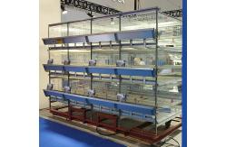China Pullet Poultry Farming Equipment , 3 / 4 Tiers Automatic Layer Poultry Equipment supplier