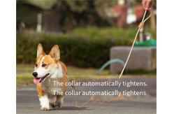 China Mesh Dog Leash Training Dog P Chain Flush Adjustable Dog Leash supplier
