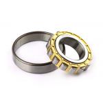 Double Row Cylindrical Roller Bearing NN3005K Seals Type Open ZZ /2RS/ RS In Big Stock 25*47 for sale