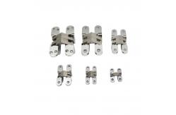 China Furniture Hardware Zinc Alloy Invisible Hinge Hidden Conceal Hinge supplier