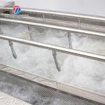 Industrial Fruit And Vegetable Processing Line Brush Bubble Cleaning Drying Selection And Cutting