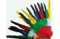 China Indian headdress, ground anfield dress party outfit, feather headdress, chief hat. supplier