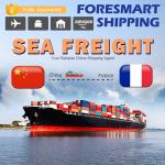 China To France International Ocean Freight Shipping for sale