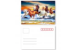 China Vivid Plant Two Sides Printing 3D Lenticular Card Plant Introduction supplier