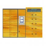 OEM ODM Smart Refrigerated Locker 100V Cabinet Meat Smart Frozen for sale