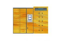 China OEM ODM Smart Refrigerated Locker 100V Cabinet Meat Smart Frozen supplier