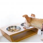 Pets Elevated Dog Bowl Stand 4”Raised Dog Bowl For Dogs And Cats for sale