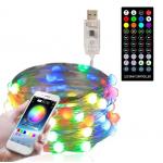 Holiday Festival Solar Decorative Lights Christmas Mini Solar Lights For Fairy Garden for sale