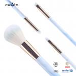 4pcs Travel Makeup Brush Set With Synthetic Hair And Plastic Handle With PVC Packaging Box for sale
