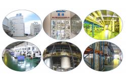China Bopp Tape Jumbo Roll manufacturer
